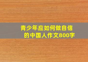 青少年应如何做自信的中国人作文800字