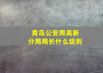 青岛公安局高新分局局长什么级别