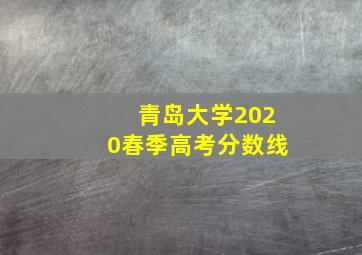 青岛大学2020春季高考分数线