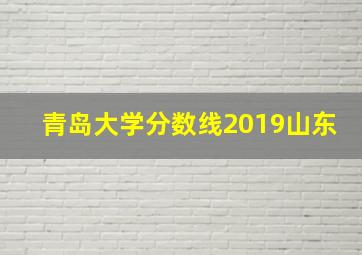 青岛大学分数线2019山东