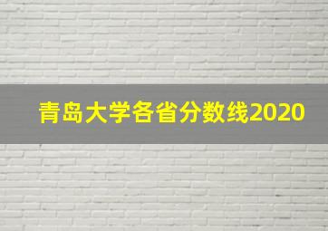 青岛大学各省分数线2020