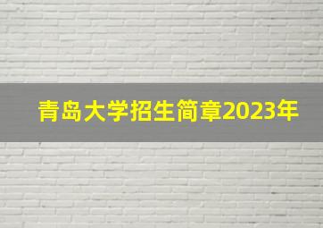 青岛大学招生简章2023年