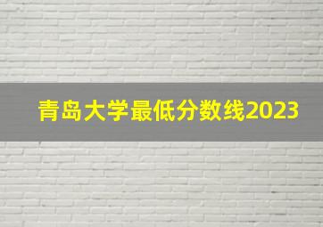 青岛大学最低分数线2023