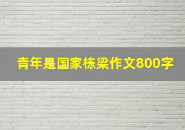 青年是国家栋梁作文800字