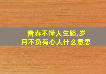 青春不懂人生路,岁月不负有心人什么意思