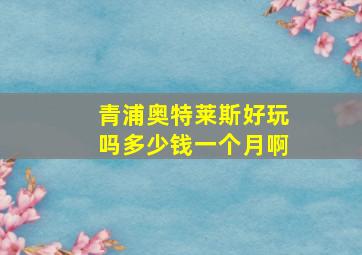 青浦奥特莱斯好玩吗多少钱一个月啊