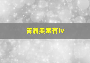 青浦奥莱有lv