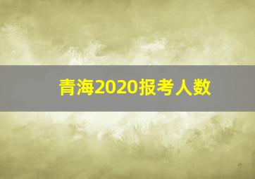 青海2020报考人数