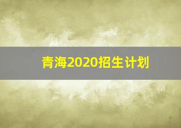 青海2020招生计划