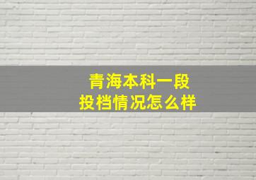 青海本科一段投档情况怎么样