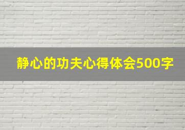 静心的功夫心得体会500字