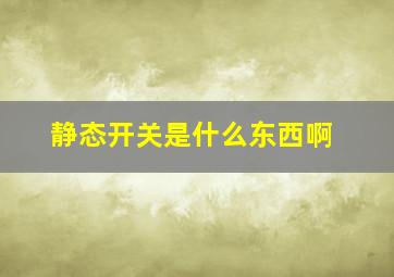 静态开关是什么东西啊