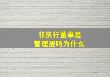 非执行董事是管理层吗为什么