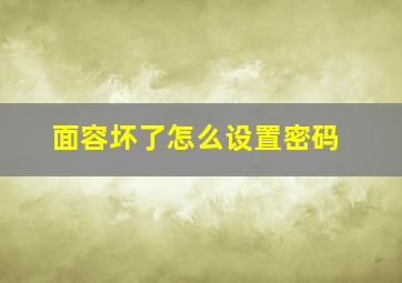 面容坏了怎么设置密码