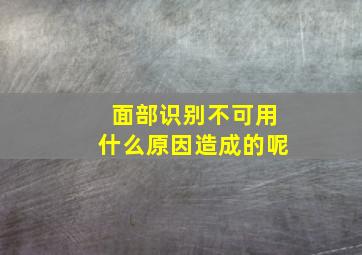 面部识别不可用什么原因造成的呢