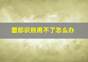 面部识别用不了怎么办