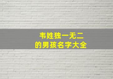 韦姓独一无二的男孩名字大全