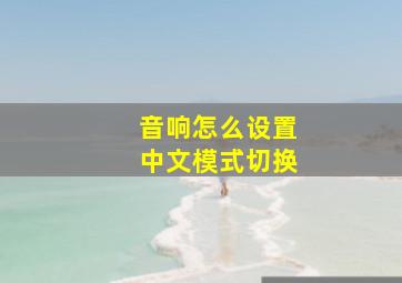 音响怎么设置中文模式切换