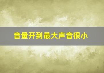 音量开到最大声音很小