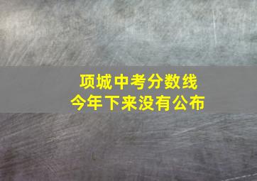 项城中考分数线今年下来没有公布