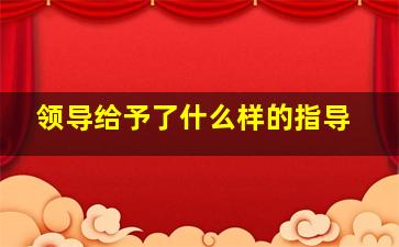 领导给予了什么样的指导