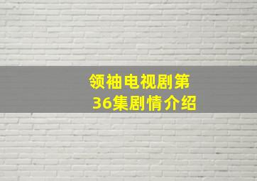 领袖电视剧第36集剧情介绍