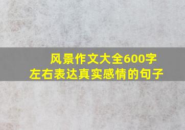 风景作文大全600字左右表达真实感情的句子