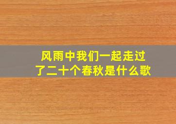 风雨中我们一起走过了二十个春秋是什么歌