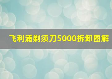 飞利浦剃须刀5000拆卸图解