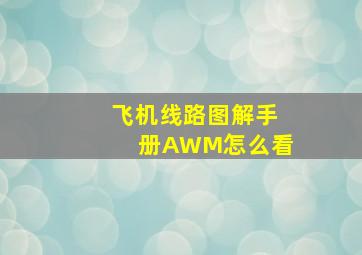 飞机线路图解手册AWM怎么看