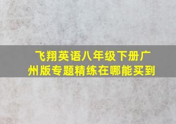 飞翔英语八年级下册广州版专题精练在哪能买到