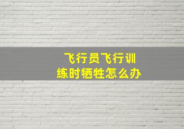 飞行员飞行训练时牺牲怎么办