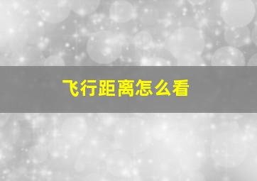 飞行距离怎么看