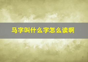 马字叫什么字怎么读啊