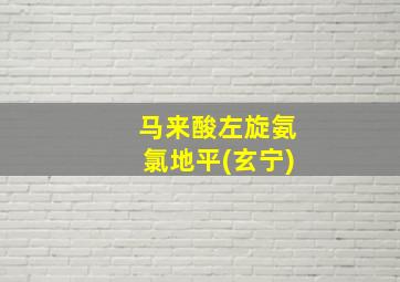 马来酸左旋氨氯地平(玄宁)