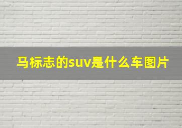 马标志的suv是什么车图片