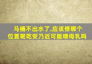 马桶不出水了,应该修哪个位置呢吃安乃近可能喂母乳吗