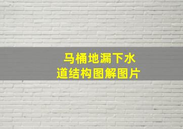 马桶地漏下水道结构图解图片