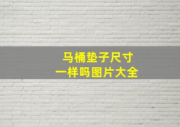 马桶垫子尺寸一样吗图片大全