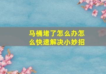 马桶堵了怎么办怎么快速解决小妙招