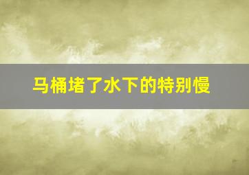 马桶堵了水下的特别慢