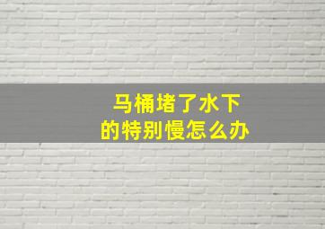 马桶堵了水下的特别慢怎么办