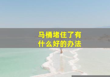 马桶堵住了有什么好的办法