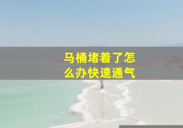 马桶堵着了怎么办快速通气