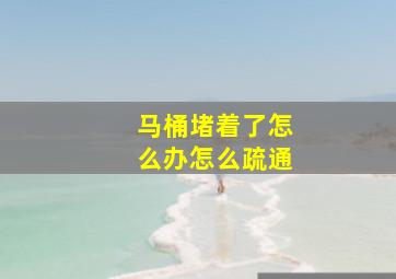 马桶堵着了怎么办怎么疏通