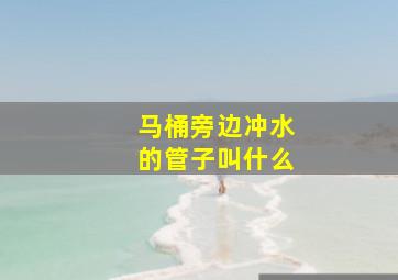 马桶旁边冲水的管子叫什么