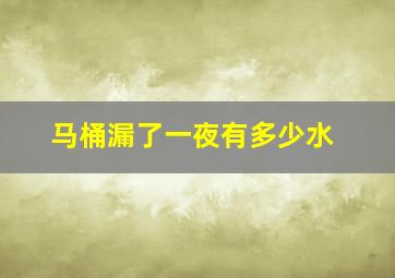 马桶漏了一夜有多少水