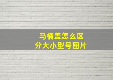 马桶盖怎么区分大小型号图片