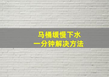 马桶缓慢下水一分钟解决方法