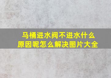 马桶进水阀不进水什么原因呢怎么解决图片大全